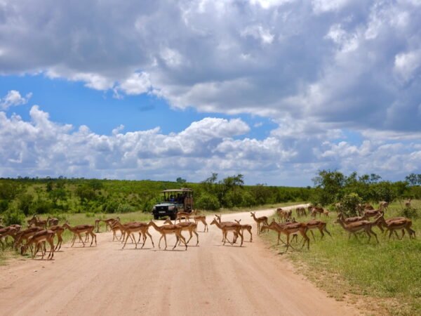 The Kenya & Tanzania Cross-Border Journey