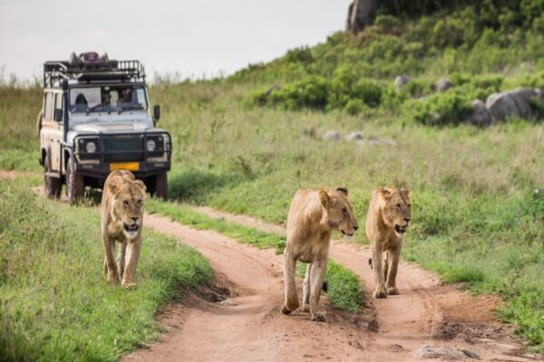 The Southern Tanzania Wilderness Journey