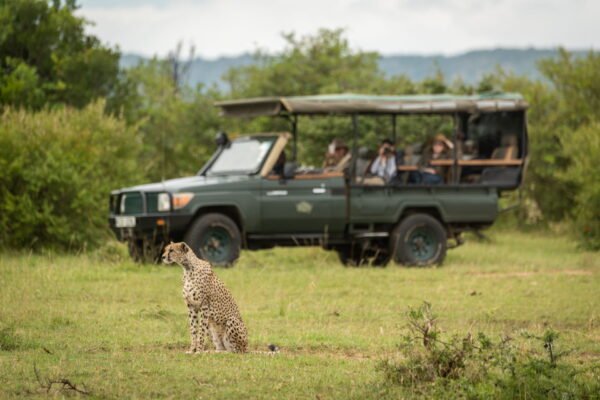 The Slow Safari & Cultural Immersion Journey
